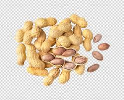 تصویر 4 از بادام زمینی غلاف‌ دار تازه آستانه مناسب میان وعده سالم